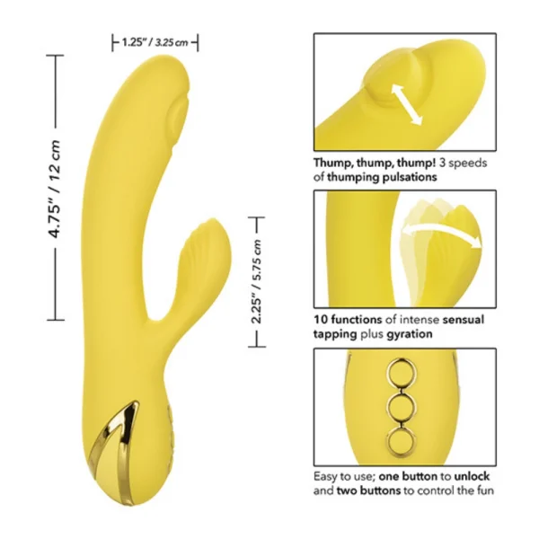 California Dreaming - San Diego Seduction Thumping & Tapping Rabbit