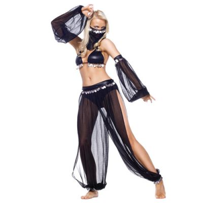 Arabian dancer costume