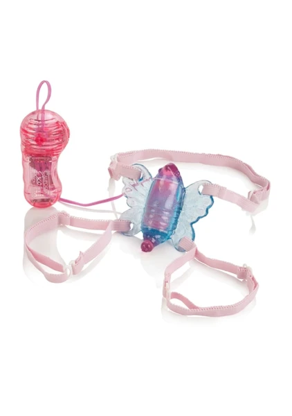 Shane's world venus butterfly