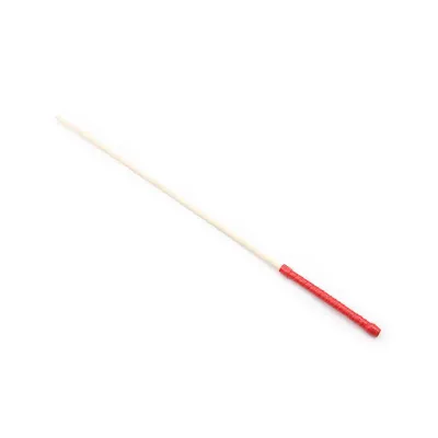 Thick Discipline Cane Red