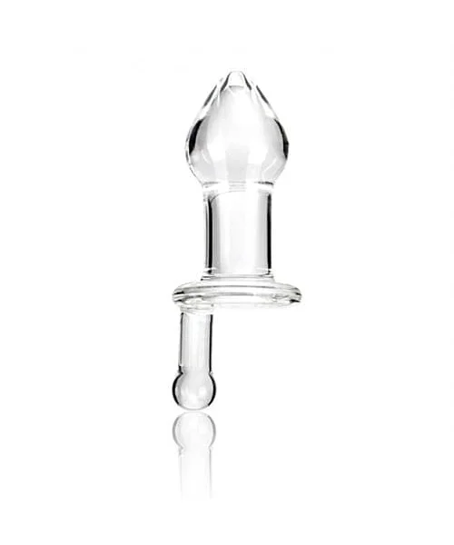 5 Inch Glass Juicer