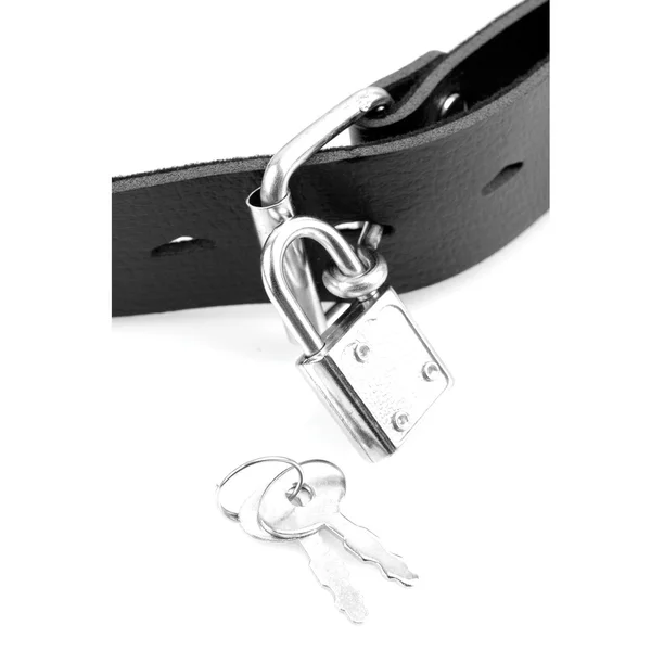Fetish Fantasy Deluxe Ball Gag With Dong — image 25 of 25