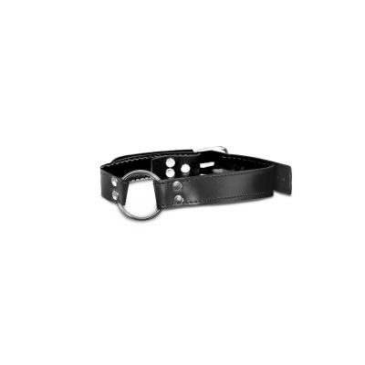 O Ring Gag