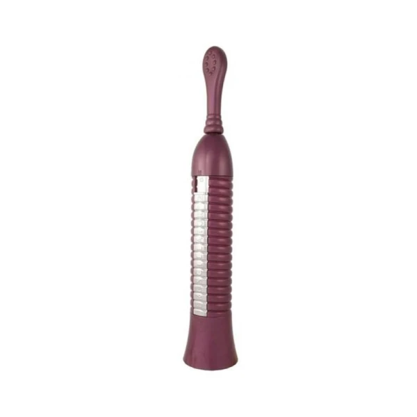 Luxury Vibrators: Eroscillator 2 Top Deluxe Purple
