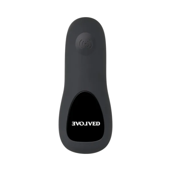 Evolved Plug & Play