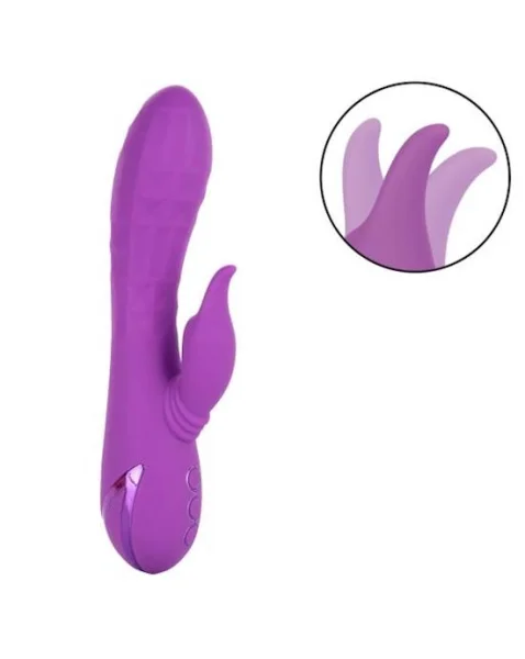 California Dreaming Valley Vampire