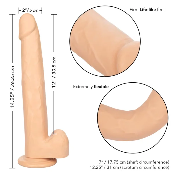 Size Queen 12 inch-30.5 Cm - Ivory
