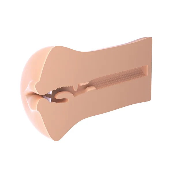 Fuck Me Sillys to Go Deep Throat Cock Sucker — image 25 of 25