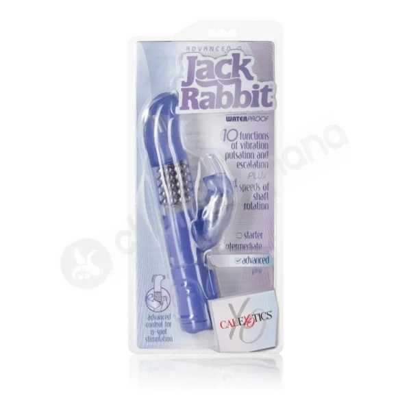 Purple Advanced G Jack Rabbit Vibrator