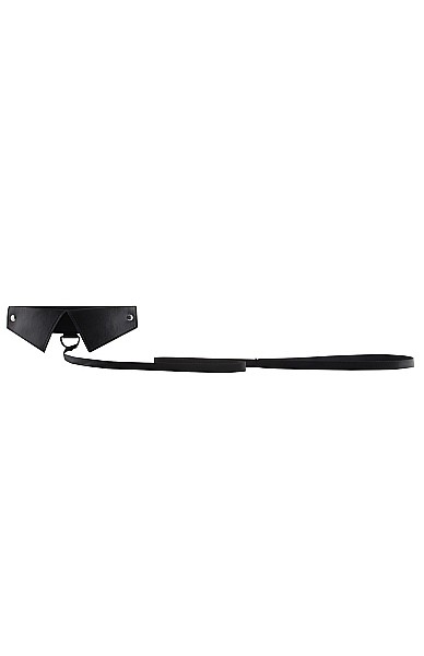 Exclusive Collar and Leash