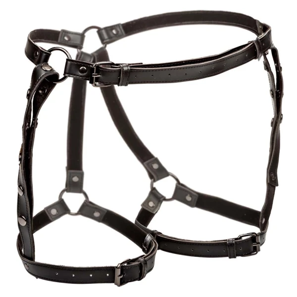 Euphoria Collection Plus Size Riding Thigh Harness By CalExotics