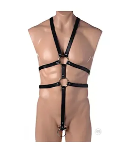 Male Full Body Harness — image 19 of 22