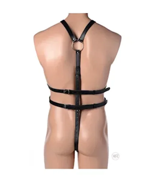 Male Full Body Harness — image 21 of 22