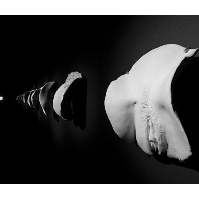 CUNTS Another Conversation Personal Portraits by Greg Taylor