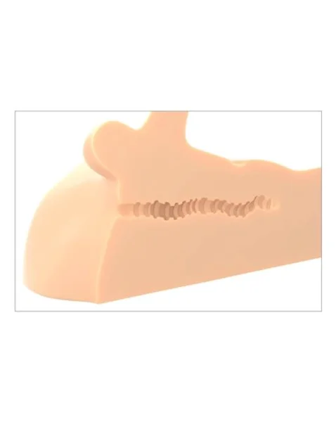 Pdx Plus Perfect Ride Masturbator