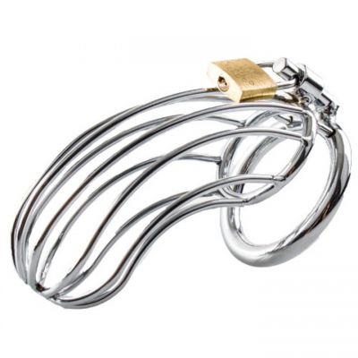 Torment Stainless Steel Birdcage Chastity Cage