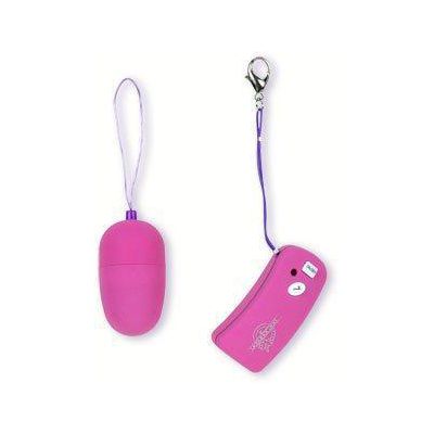 7 Function Wireless Remote Egg with Controller