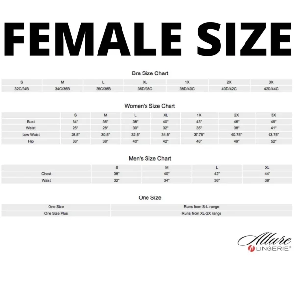 Kitten Lace & Wet Look Dress - One Size