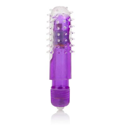 WP Travel Blaster Purple