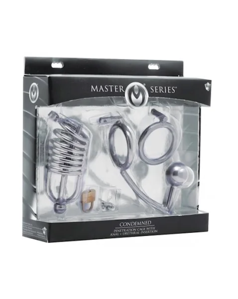 Condemned Cage With Anal Insertion - Silver