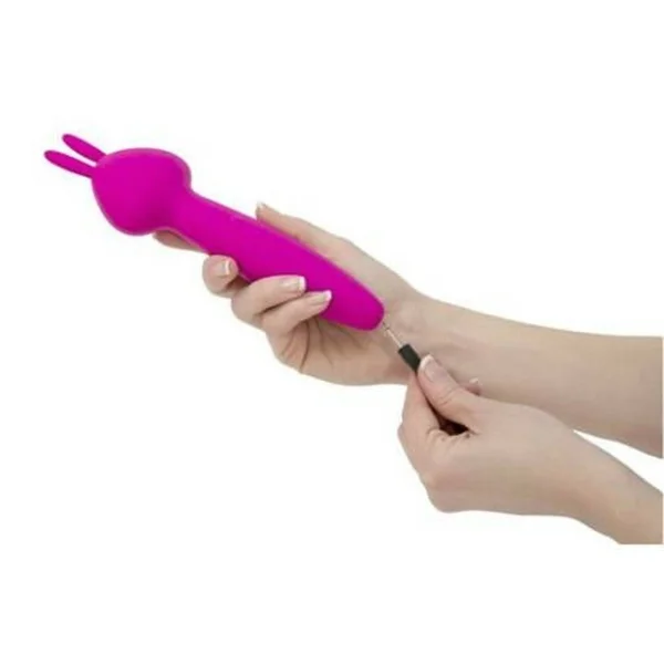 PalmPower Vibez Rabbit Wand Massager