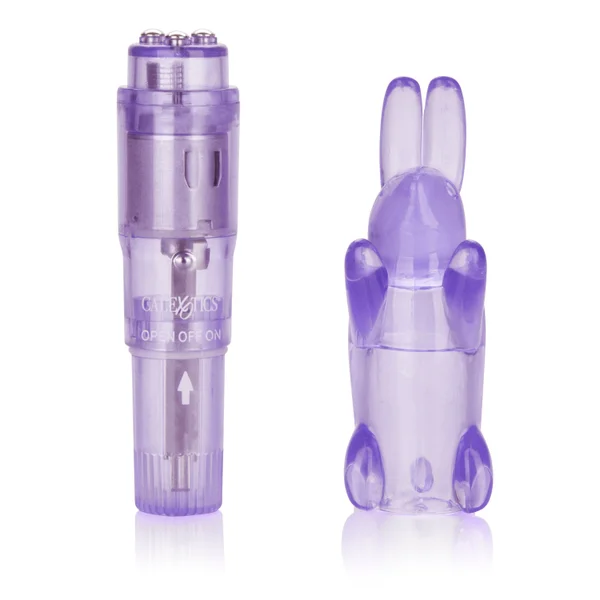 Shanes World Pocket Party - Purple — image 14 of 16