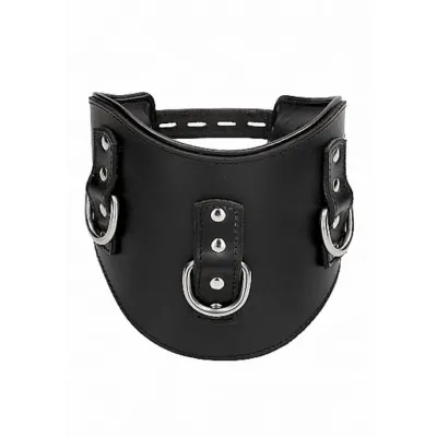 Heavy Duty Padded Posture Collar Black Black