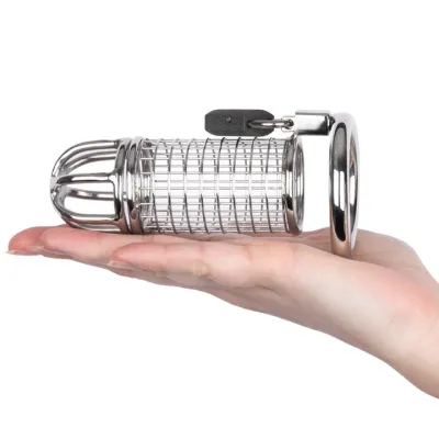 Torment Matrix Stainless Steel Padlocked Chastity Cage
