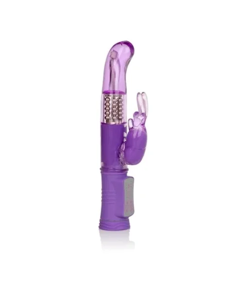 Shanes World Jack Rabbit G - Purple