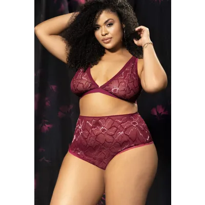 Shine On Burgundy Floral Lace Mesh Bra with High Waist Panty By Mapale by Espiral