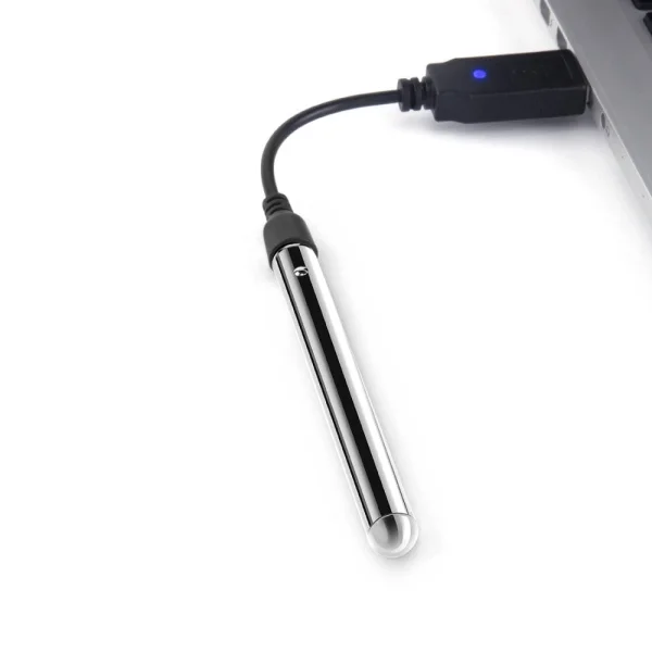 Le Wand Vibrating Necklace Silver