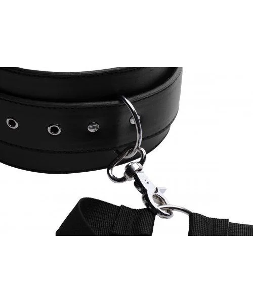 Acquire Easy Access Thigh Harness with Wrist Cuffs