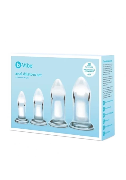 Glass Anal Dilator 4 Piece Set