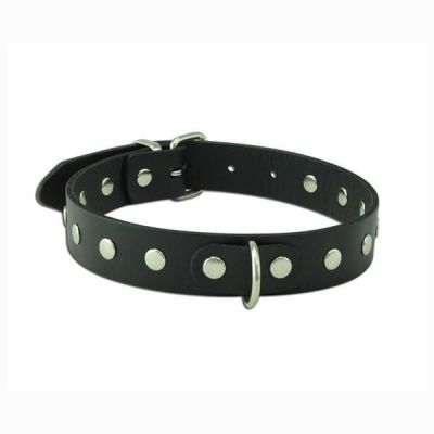 Stud Buckle Collar
