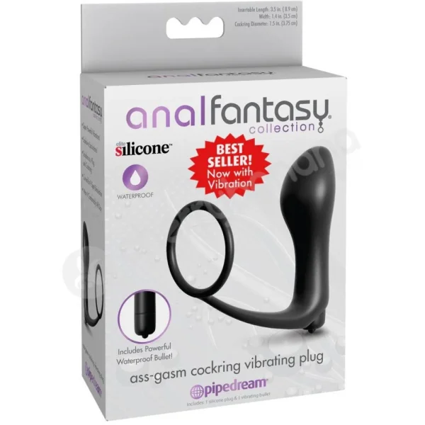 Anal Fantasy Collection Vibrating Ass-Gasm Cockring Plug