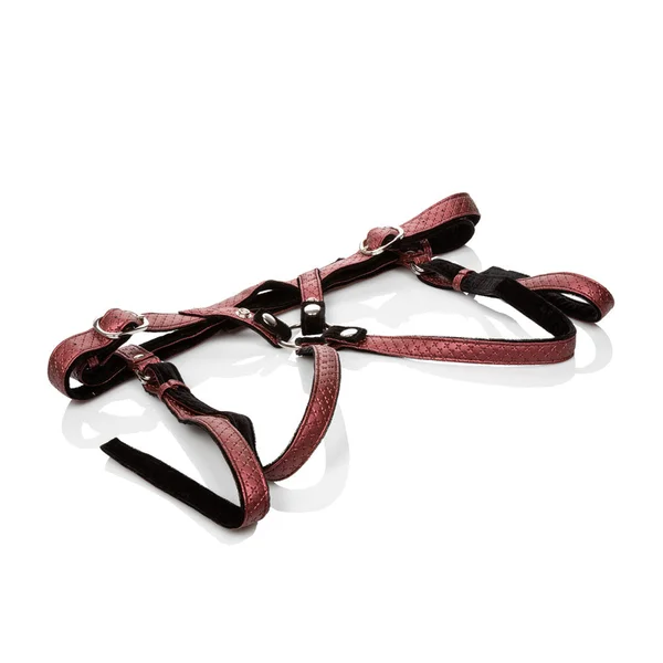 Her Royal Harness the Regal Duchess - Red — image 8 of 10