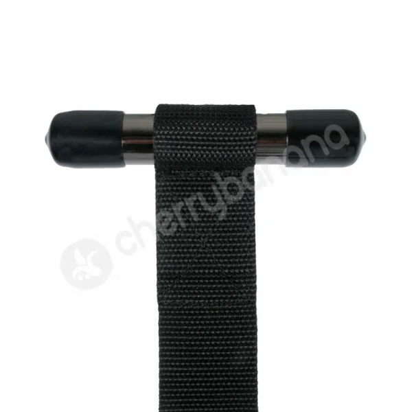 Easytoys Over The Door Swing