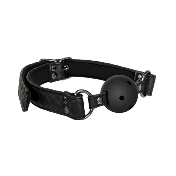 A&e Eve's Fetish Dreams Ball Gag