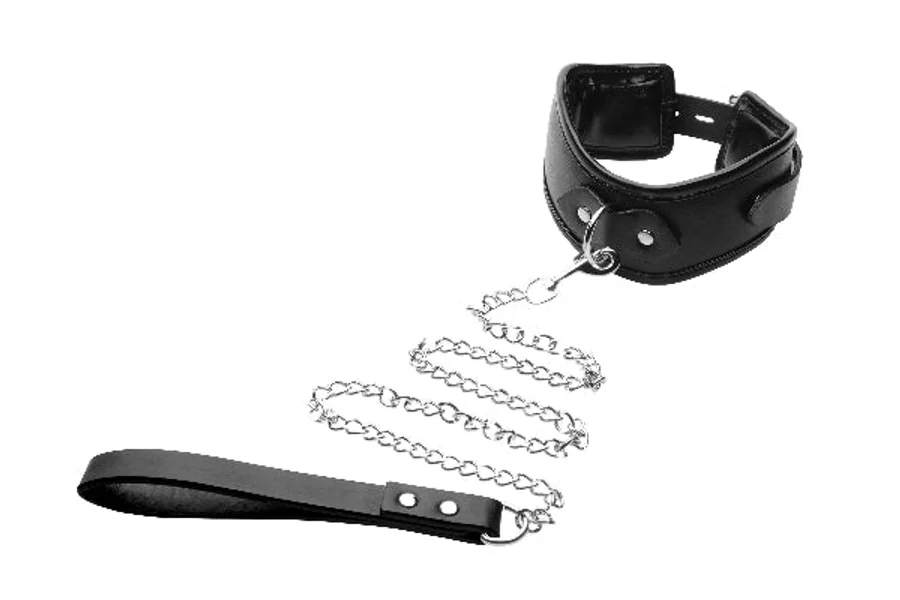 Padded Locking Posture Collar — image 14 of 15