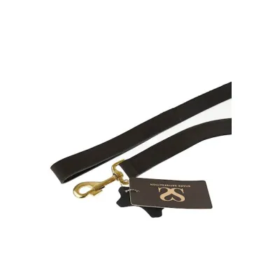 Bound X Classic Leather Leash
