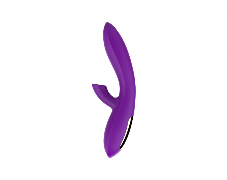 Ascend Rabbit Air Vibe