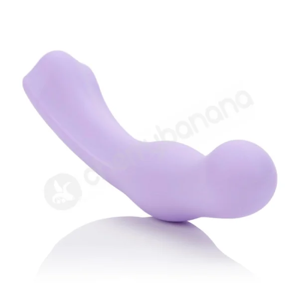 Dr. Laura Berman Intimate Basics Fiji Dildo