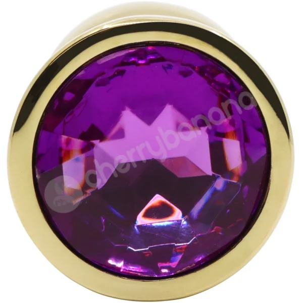 Hidden Treasures Gold & Purple Gem 2.9" Butt Plug