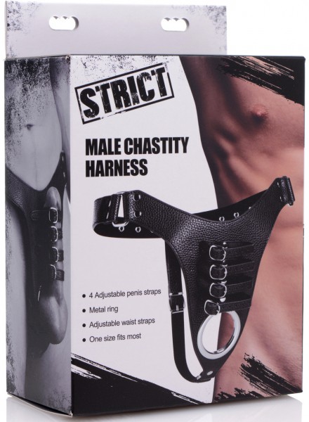 Male Chastity Harness