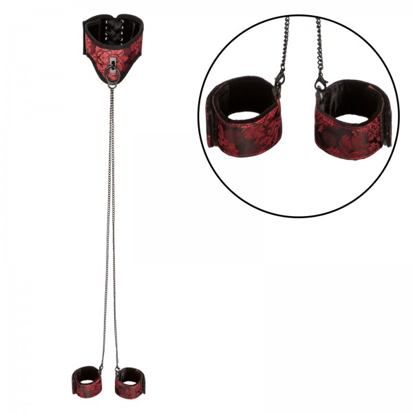 Posture Collar With Cuffs Kit