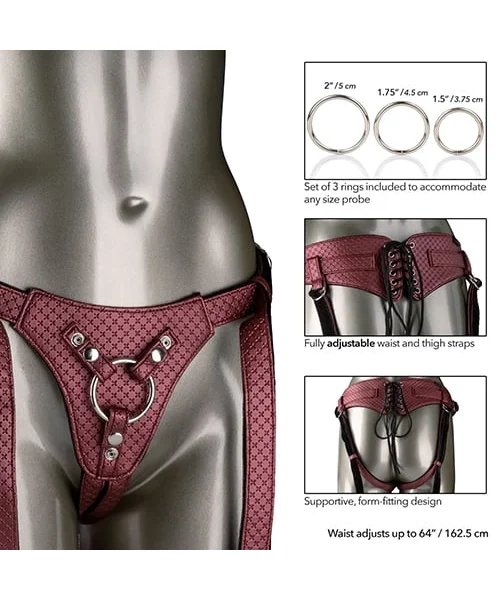 Her Royal Harness The Regal Queen