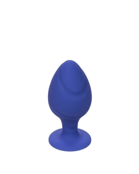 Cheeky Butt Plug Set - Blue