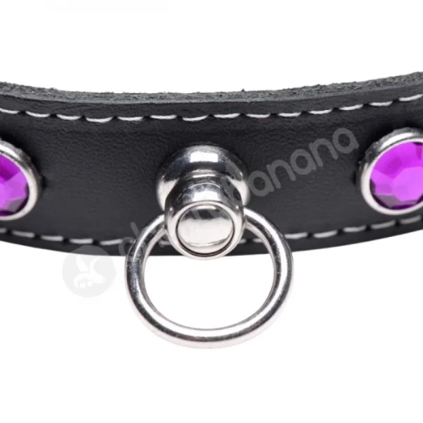 Master Series Bling Vixen Leather Adjustable Choker W/ Purple Rhinestones