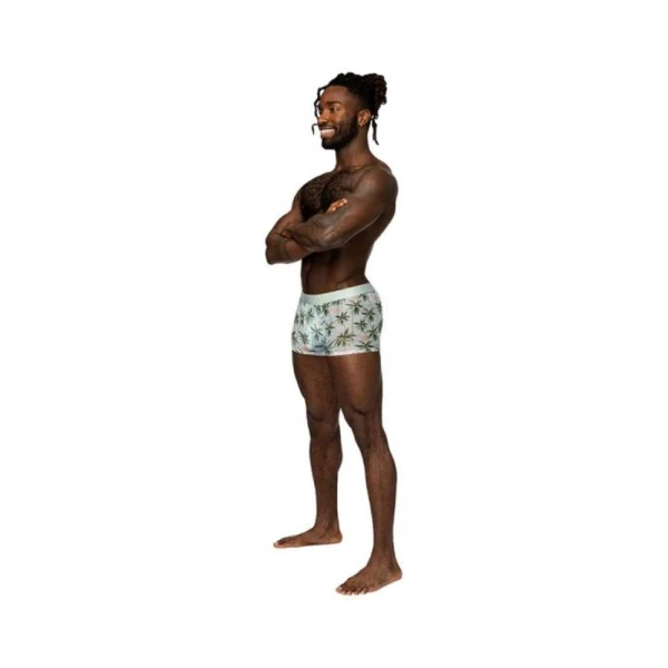 Men's Clothing: Male Power Sheer Prints Seamless Sheer Short Flamingo Xl
