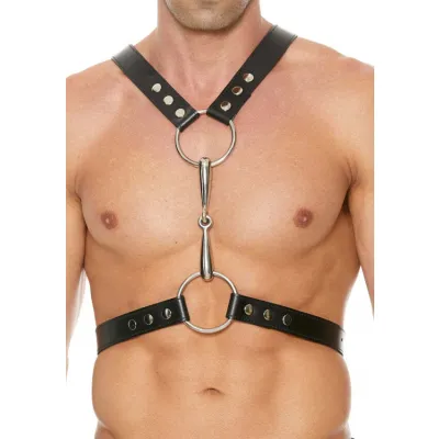 Harness With Metal Bit